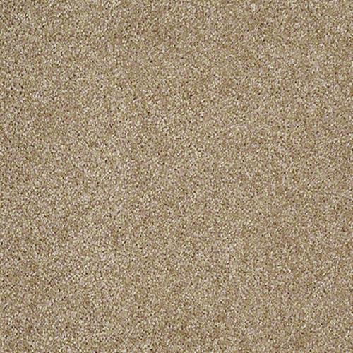 Golden Cove Cascade Carpet 00152_HGP02 by Shaw Flooring