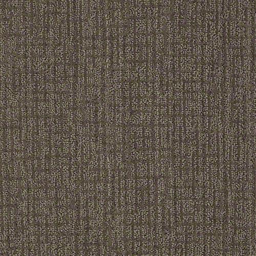 Timeless Taupe