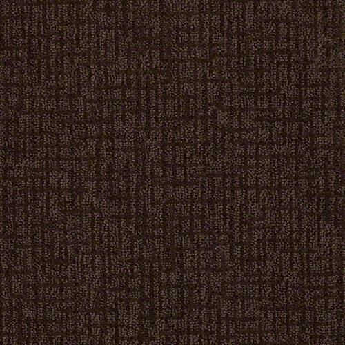 Chocolate Wave