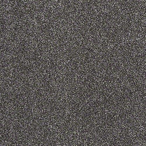 Shaw Industries Awesome 5 (T) Rich Earth Carpet - Jacksonville, NC - Floors  Galore NC