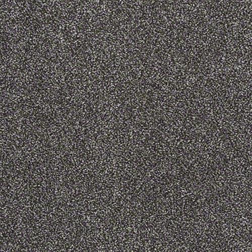 Shaw Industries Awesome 5 (T) Rich Earth Carpet - Jacksonville, NC - Floors Galore NC
