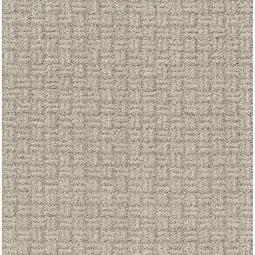 Equivalence in Chenille - Carpet by Shaw Flooring