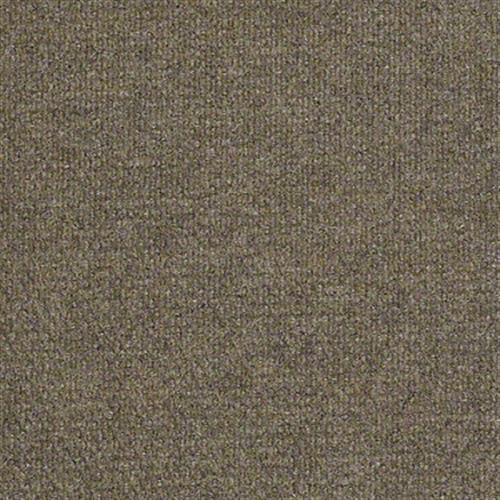Check Out in Sierra Sand - Carpet by Shaw Flooring