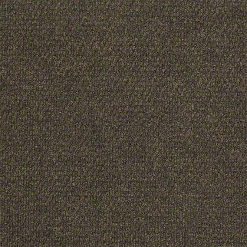 Check Out in French Roast - Carpet by Shaw Flooring