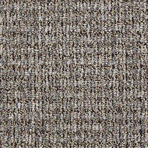 Check Out in Cloud Spun - Carpet by Shaw Flooring