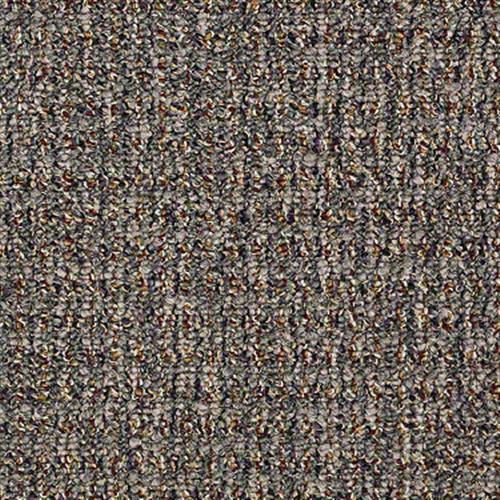 Check Out in Aura - Carpet by Shaw Flooring