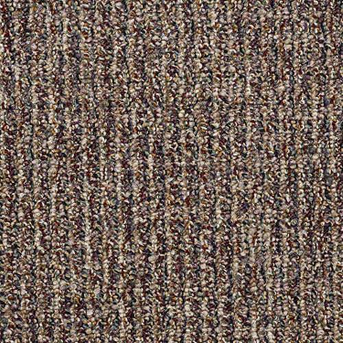 Check Out in Fortune - Carpet by Shaw Flooring
