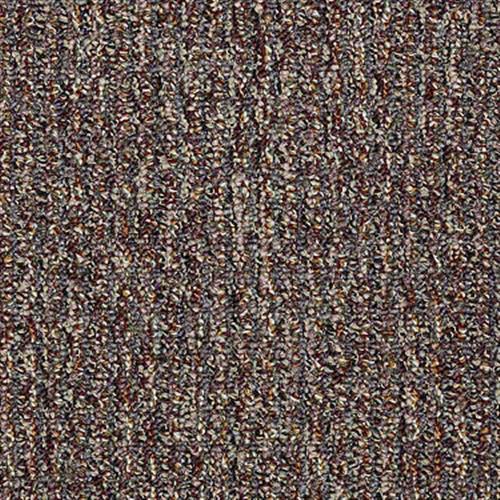 Check Out in Nirvana - Carpet by Shaw Flooring