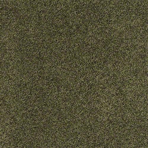 Designer Twist Silver (s) in Olive Branch - Carpet by Shaw Flooring