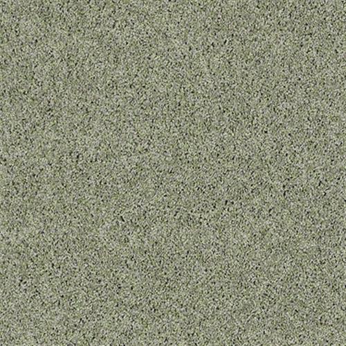 Designer Twist Silver (s) in Sage Mist - Carpet by Shaw Flooring
