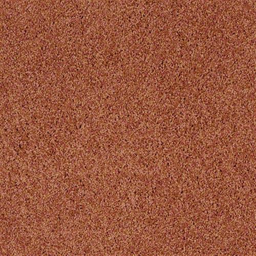 Designer Twist Silver (s) in Orange Crush - Carpet by Shaw Flooring