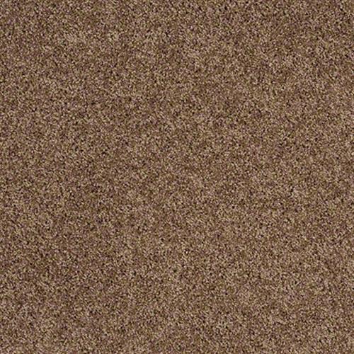 Designer Twist Silver (s) in Kodiak Bear - Carpet by Shaw Flooring