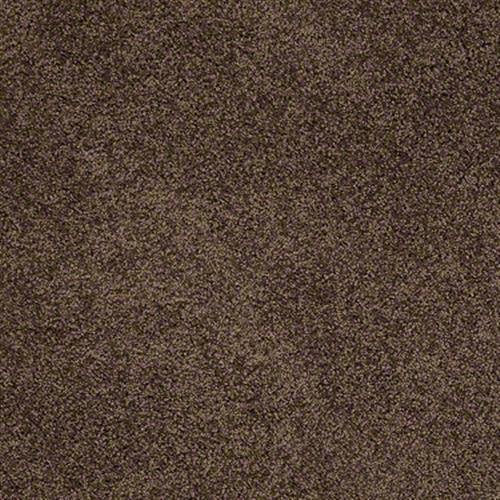 Designer Twist Silver (s) in Hot Cocoa - Carpet by Shaw Flooring