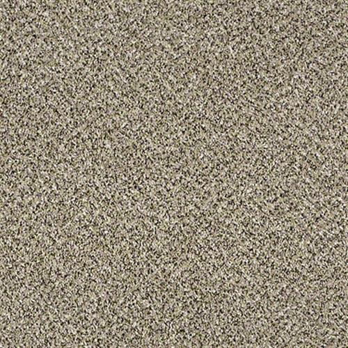 Cc90 12 in Plaster - Carpet by Shaw Flooring