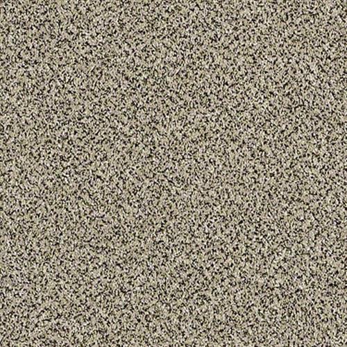Cc90 12 in Sugar Cookie - Carpet by Shaw Flooring