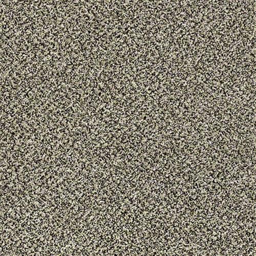 Cc90 12 in Heirloom - Carpet by Shaw Flooring