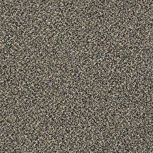 Cc90 12 in Hope Chest - Carpet by Shaw Flooring