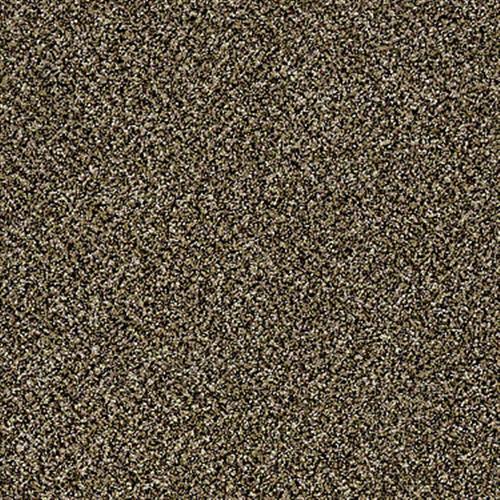 Cc90 12 in Arrowhead - Carpet by Shaw Flooring