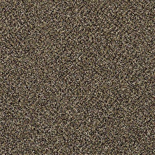 Cc90 12 in Copper Coin - Carpet by Shaw Flooring