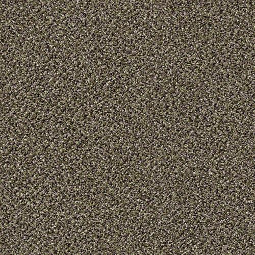 Cc90 12 in Tempting Taupe - Carpet by Shaw Flooring