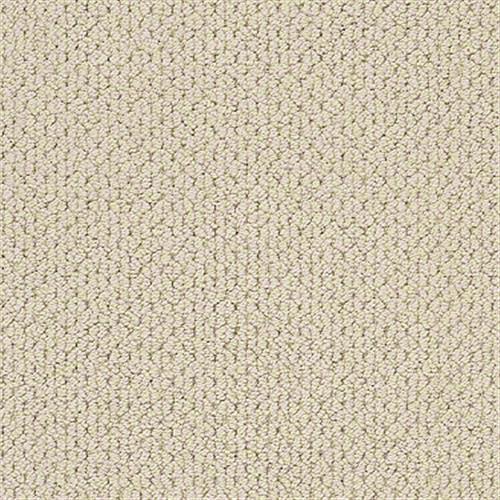 Shaw Industries MERA Beach Haven Carpet - Boynton Beach | Boca Raton