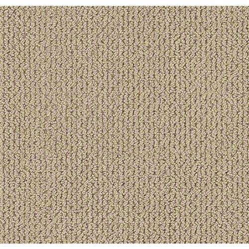 Shaw Industries MERA Golden Carpet - Boynton Beach | Boca Raton