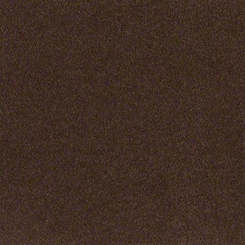 Burnt Sienna