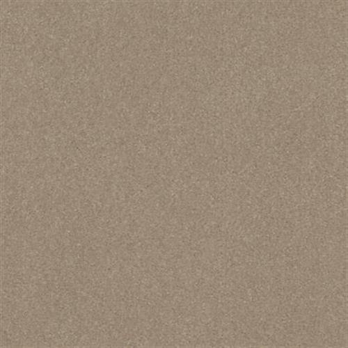Parkerville Plus 12 in Stucco - Carpet by Shaw Flooring