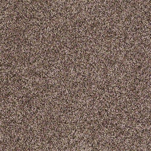 Style 50 (b) in Canoe - Carpet by Shaw Flooring