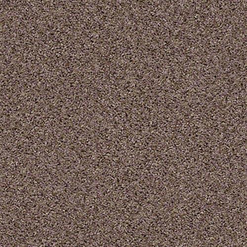 Shaw Industries SEE ME Acorn Carpet Brooklyn, OH The Floor King