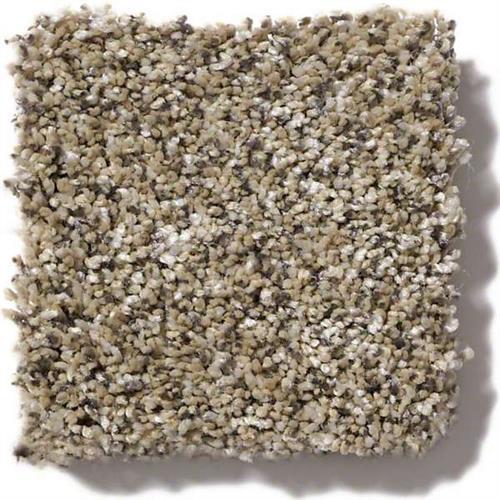 Shaw Industries BECAUSE WE CAN I 15' Sea Shell Carpet McCalla