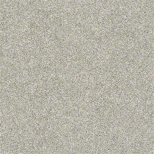 Carpet Albany, NY Discount Flooring