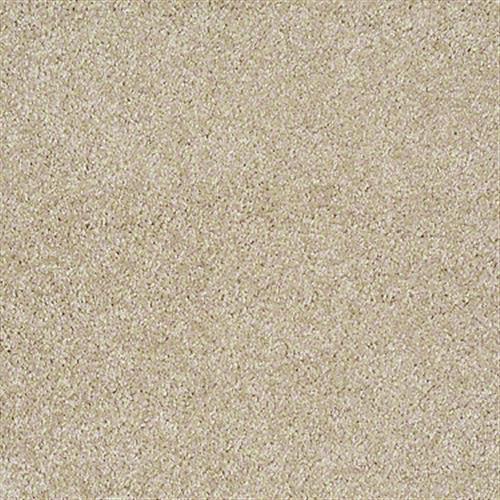 Padgett Acre in Biscuit - Carpet by Shaw Flooring