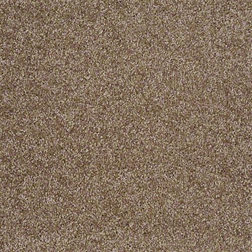 Padgett Acre in Wild Fawn - Carpet by Shaw Flooring