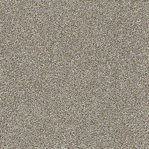 Scena in Saw Dust - Carpet by Shaw Flooring
