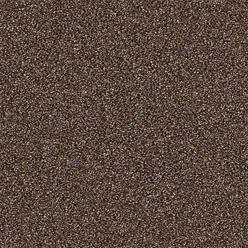 Scena in Spice - Carpet by Shaw Flooring