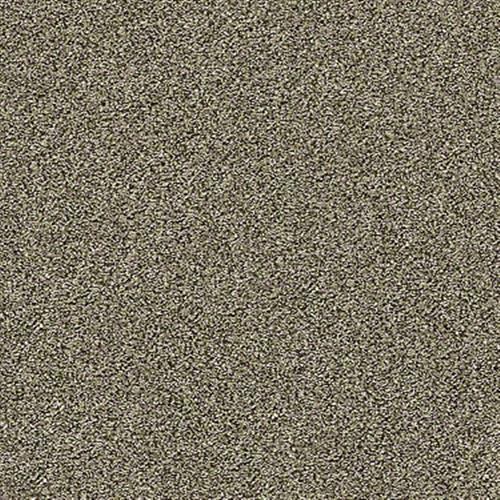 Scena in Sandalwood - Carpet by Shaw Flooring