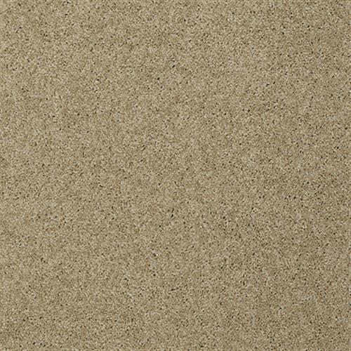 Emerald Bay II by Shaw Industries - Taffeta