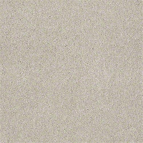 Emmie's Arrival by Shaw Floors Net - Linen