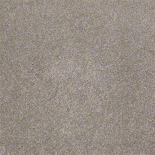 Emmie's Arrival by Shaw Floors Net - Mocha Cream