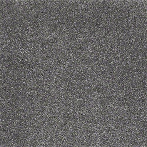 Emmie's Arrival by Shaw Floors Net - Marble Gray