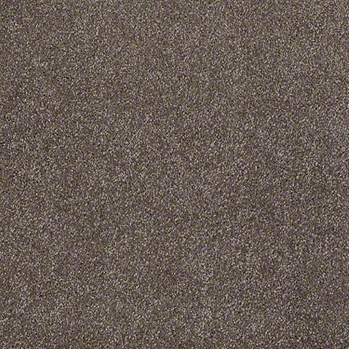 Emmie's Arrival by Shaw Floors Net - Rustic Taupe