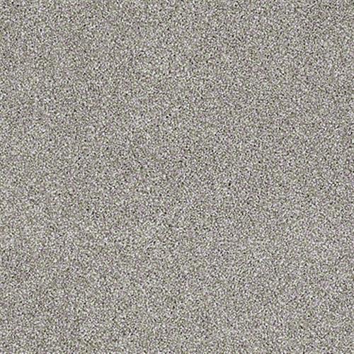 Emmie's Arrival by Shaw Floors Net - Cocoa