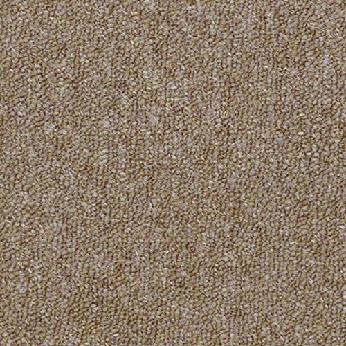 Ackerman III Uni in Desert Sandstone - Carpet by Shaw Flooring