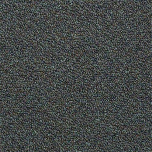 Ackerman III Uni in Mineral Green - Carpet by Shaw Flooring