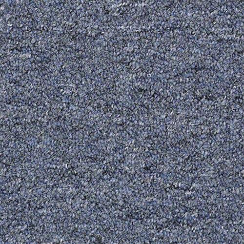 Ackerman III Uni in Midnight - Carpet by Shaw Flooring