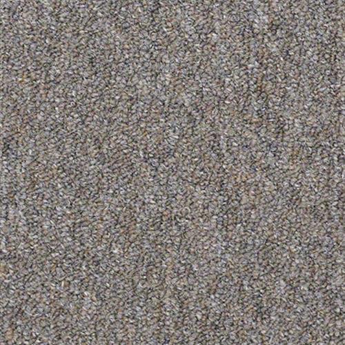 Ackerman III Uni in Granite - Carpet by Shaw Flooring