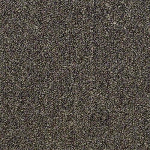 Ackerman III Uni in Dark Khaki - Carpet by Shaw Flooring