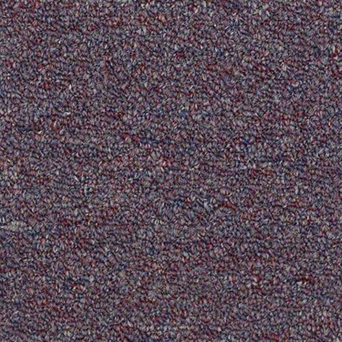 Ackerman III Uni in Wineberry - Carpet by Shaw Flooring