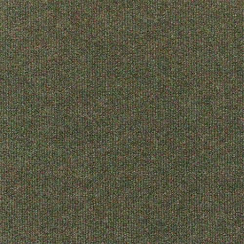 Terra Verte